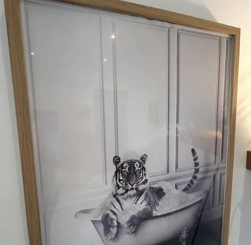 Beau Equipe * 낭시